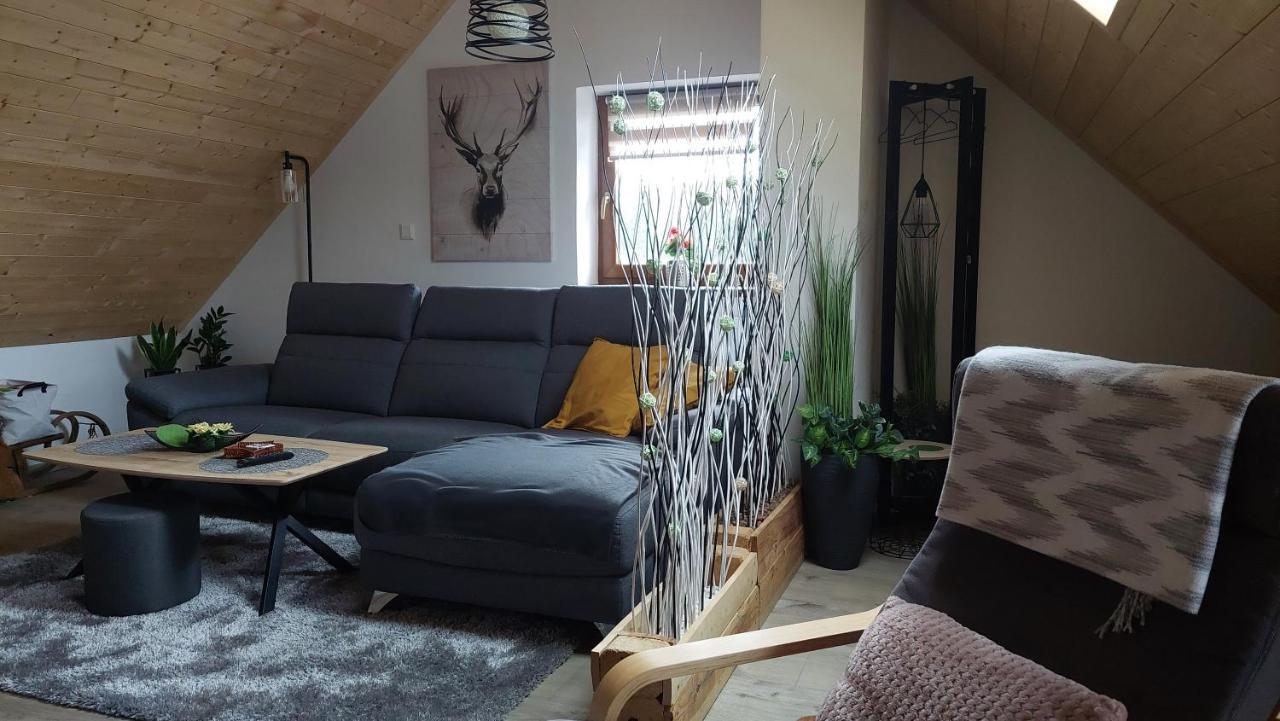 Apartman Pod Smrcinou Vaclavov u Bruntalu Kültér fotó
