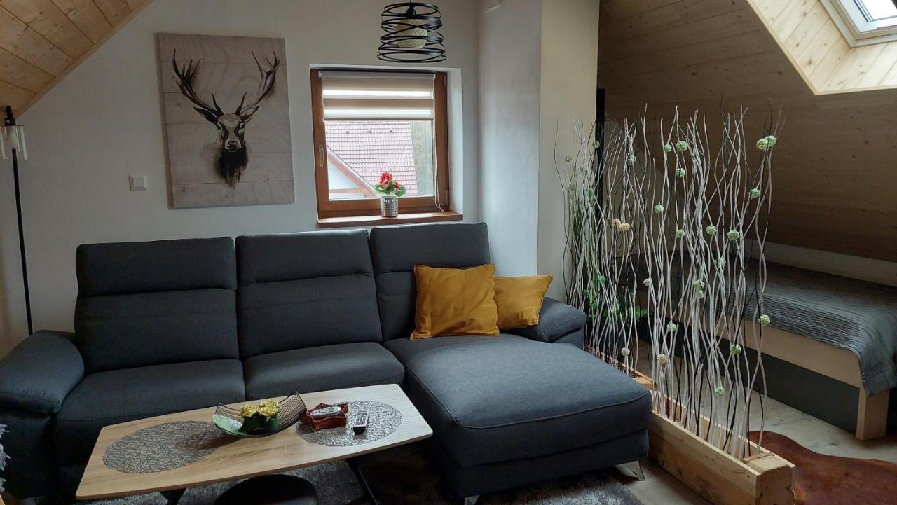 Apartman Pod Smrcinou Vaclavov u Bruntalu Kültér fotó